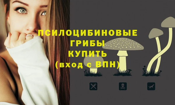 соль курить ск Горнозаводск