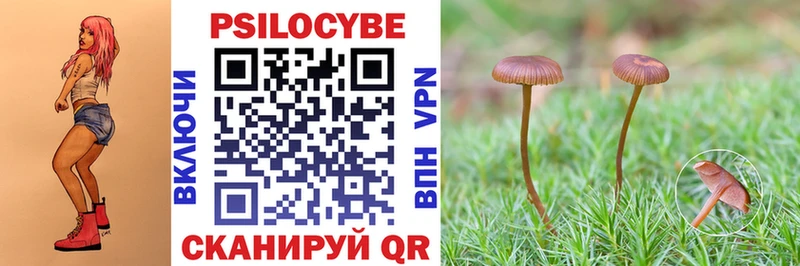 Галлюциногенные грибы MAGIC MUSHROOMS  Дубна 